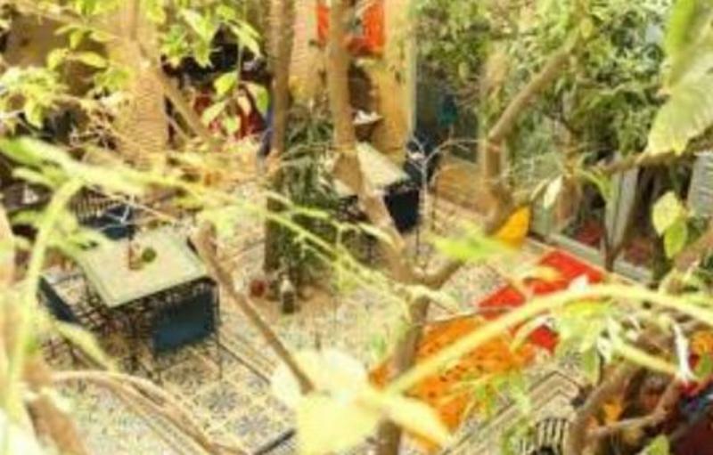 Riad Les Jardins De Kesali Marrakesh Eksteriør bilde
